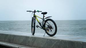 Cycles 