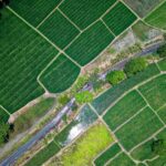 Free Land